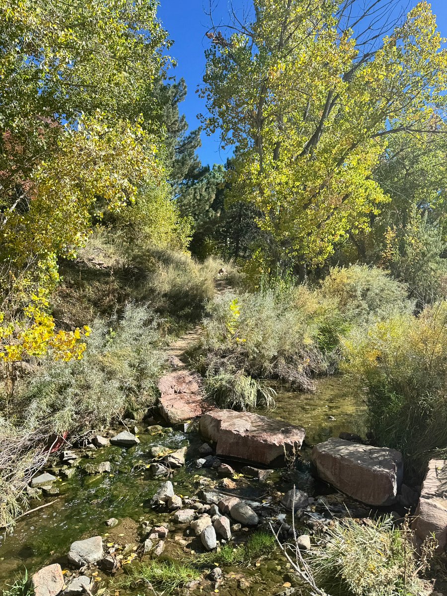 Scenic trails and natural creek crossings are just steps awayperfect for a morning walk, a jog, or enjoying the Colorado sunshine during your stay