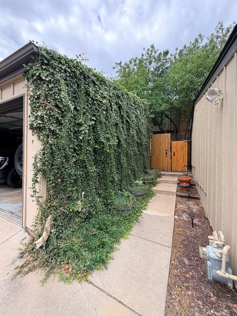 Back entrance and detached garage