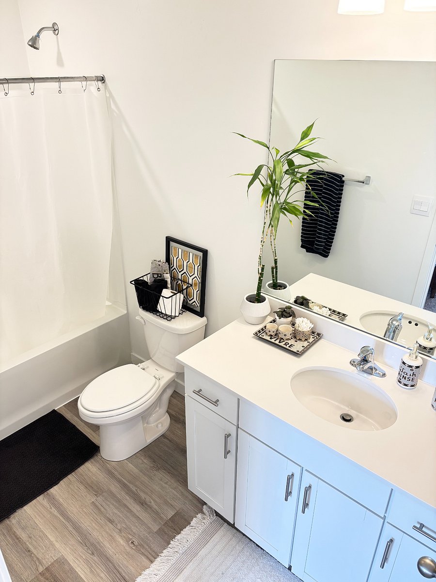 Master bath with shower and tub combo
