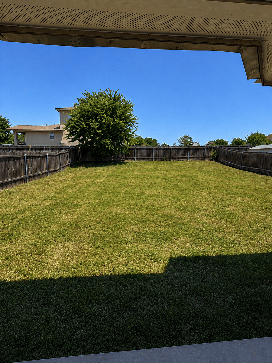 Backyard