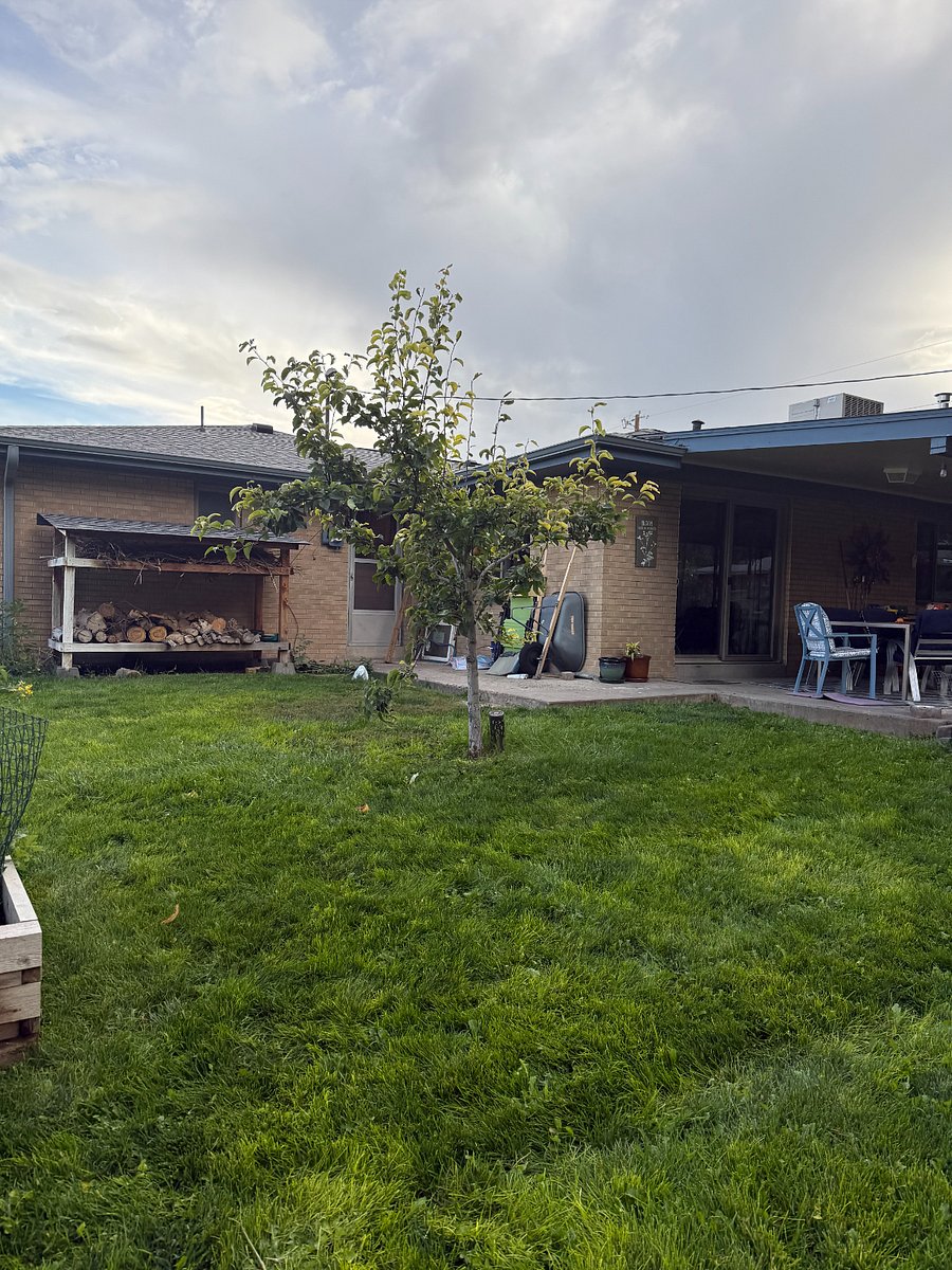 Furnished Finder property 1030962_1 photo 3