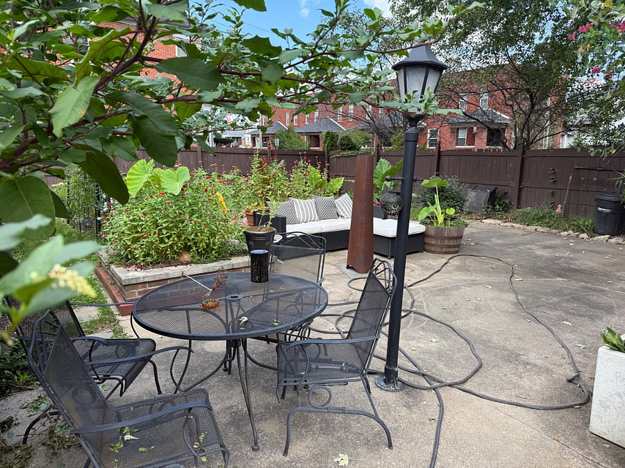 Exterior backyard