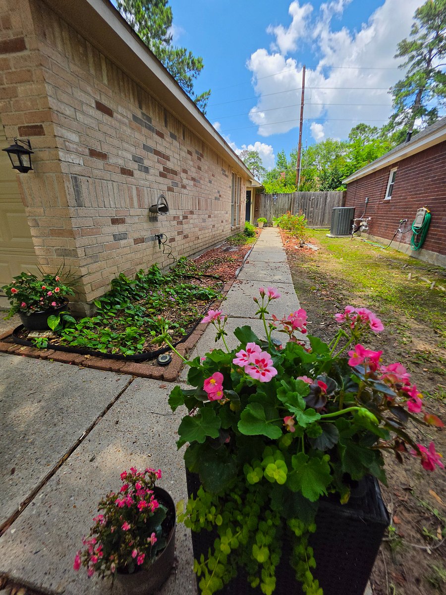 Furnished Finder property 1031125_1 photo 29