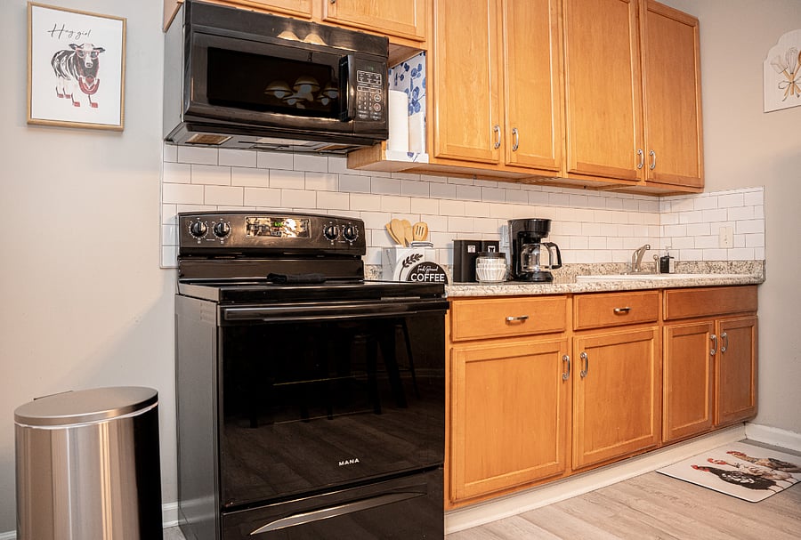 Furnished Finder property 1031130_1 photo 8