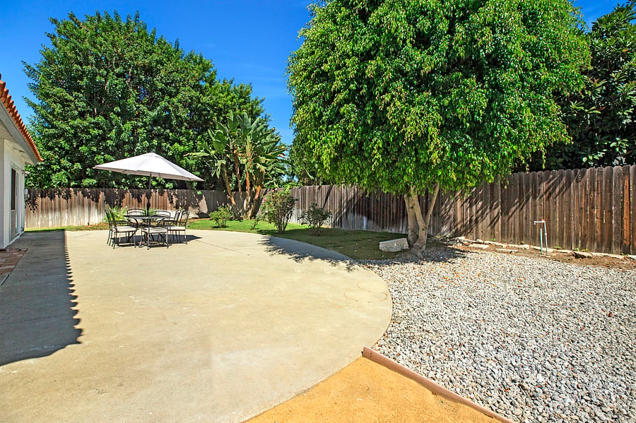 A backyard full of green, a heart full of gratitude, and a reminder that sometimes the simplest places bring us the greatest peace.