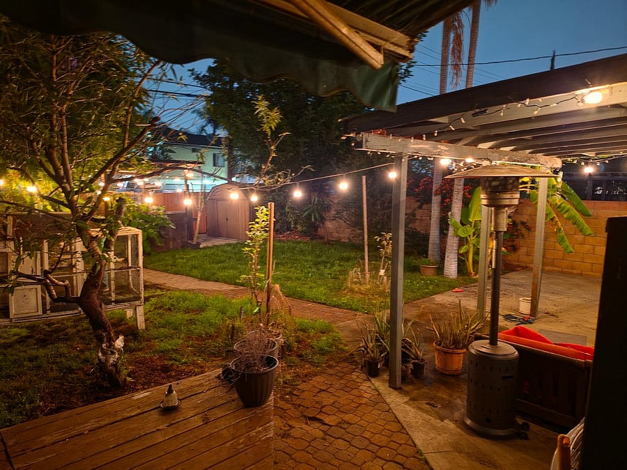Backyard