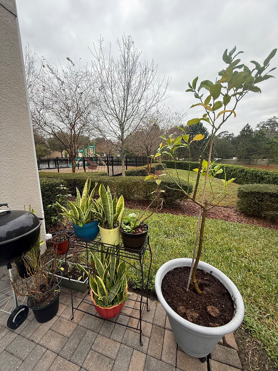 Furnished Finder property 1031358_1 photo 6