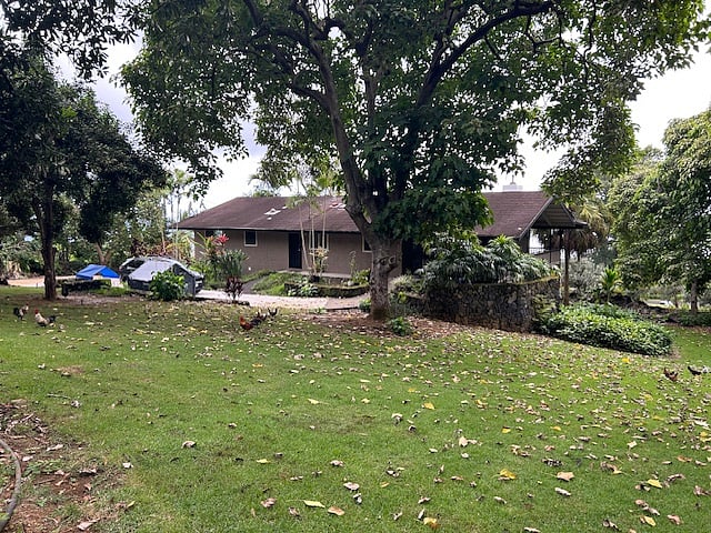 Furnished Finder property 1031364_1 photo 5