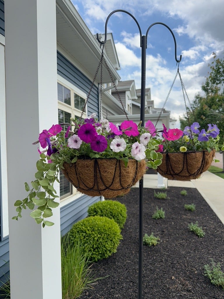 Well manicured flowers