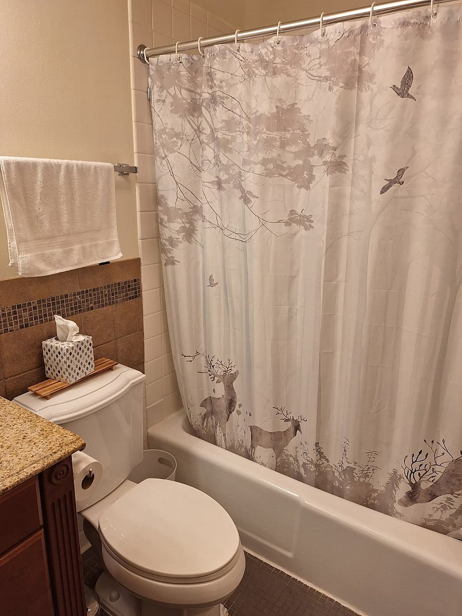 Furnished Finder property 1031457_1 photo 15