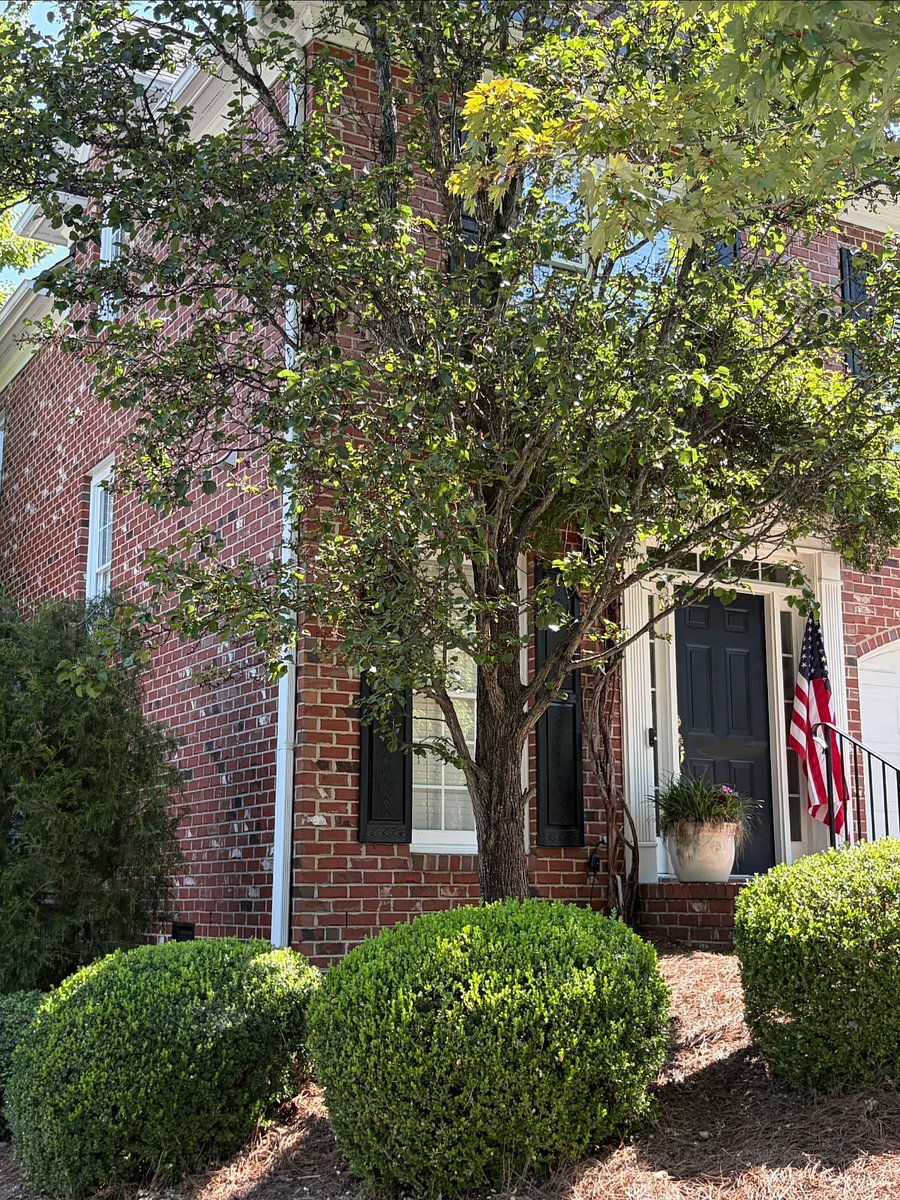 Furnished Finder property 1031647_1 photo 2