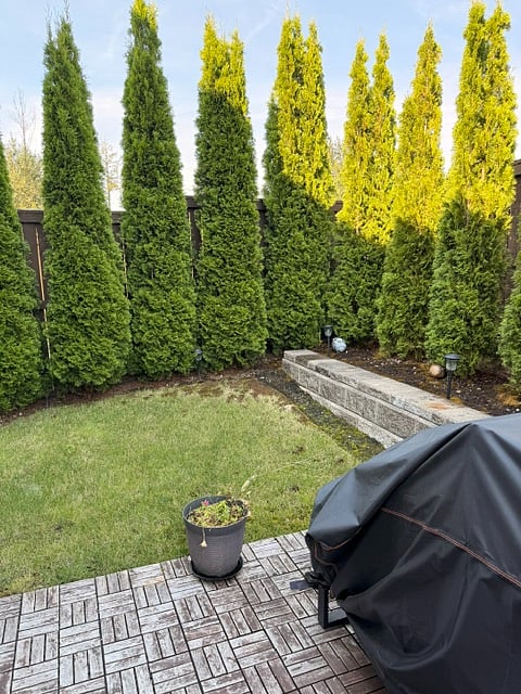 Furnished Finder property 1031805_1 photo 25