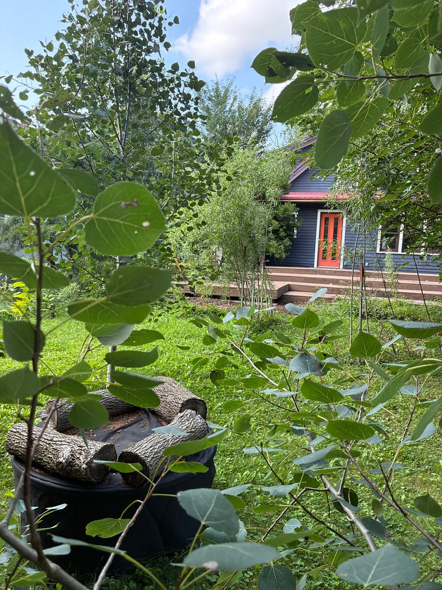 View from the back of the yard, including fire pit. The orange door leads to the sun room.