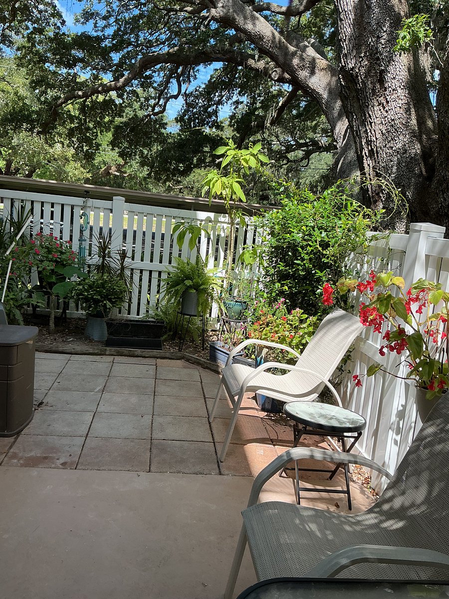 Furnished Finder property 1031830_1 photo 8