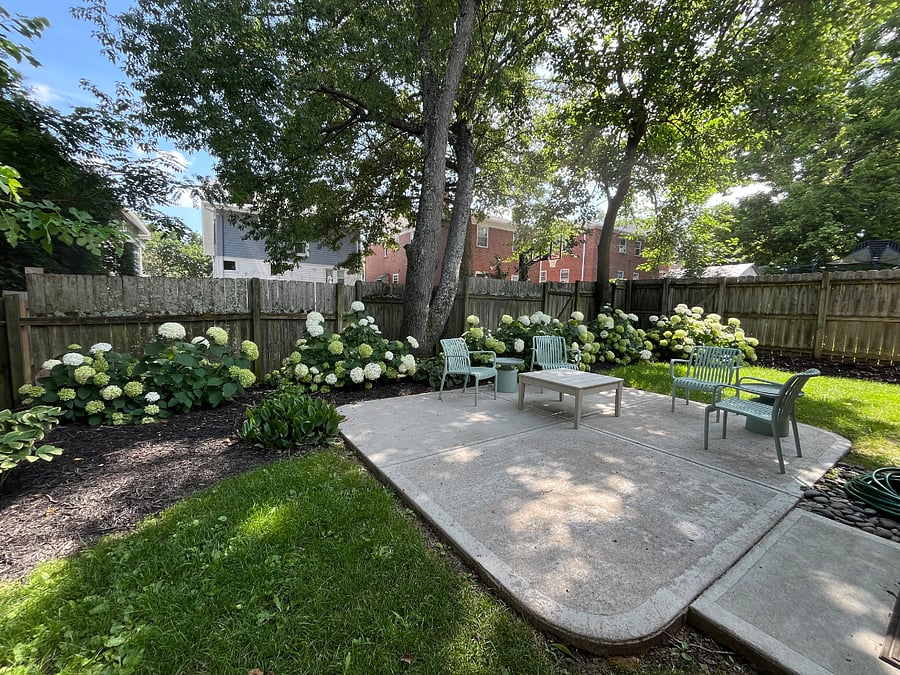 Rear Yard