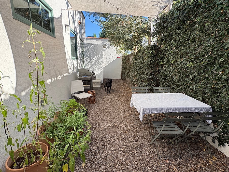 View outside the front door of the studio with plants, shared patio with table and chairs, gas grill, washer/dryer, friendly black dog ready to say hello.