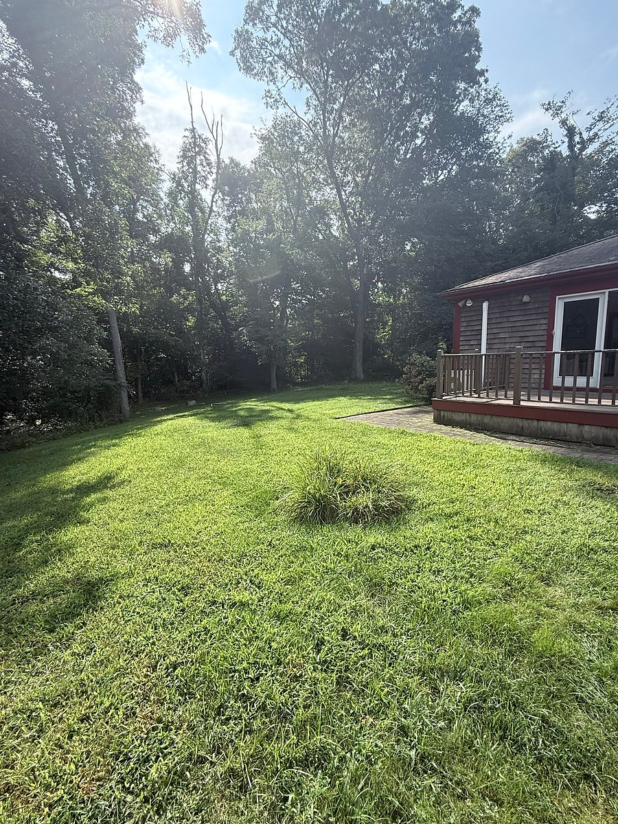 Furnished Finder property 1031879_1 photo 19