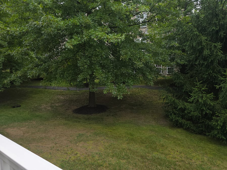 Furnished Finder property 1031924_1 photo 25