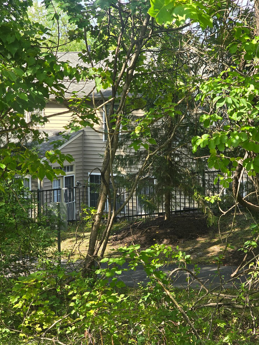 Furnished Finder property 1031924_1 photo 28