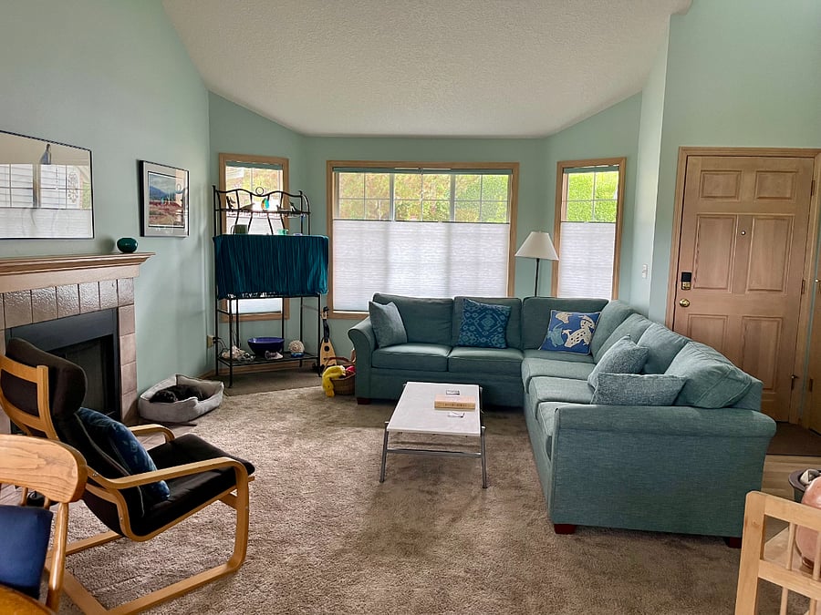 comfy sectional sofa in living room