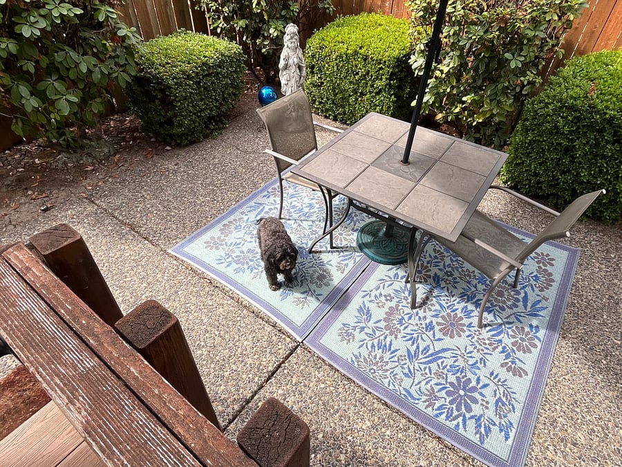back patio table, and Eva