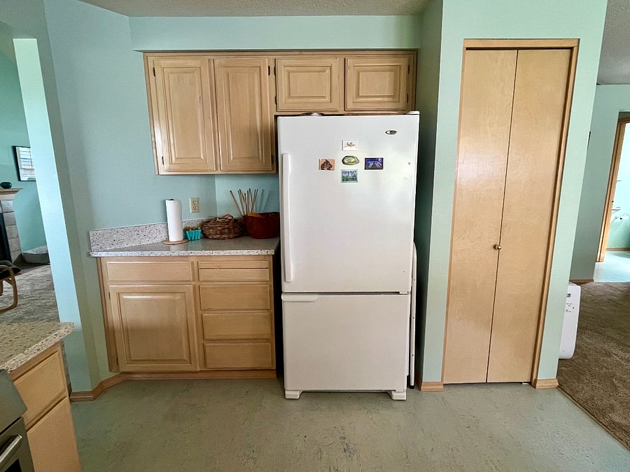 kitchen fridge and pantry
