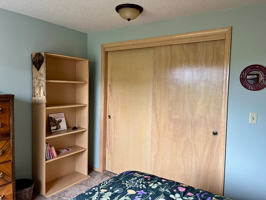 guest room closet and bookcase
