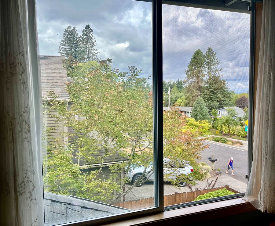view from guest room window to Gabriel Park