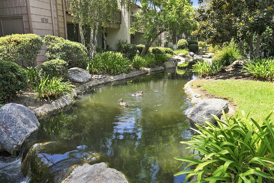 Furnished Finder property 1032076_1 photo 23