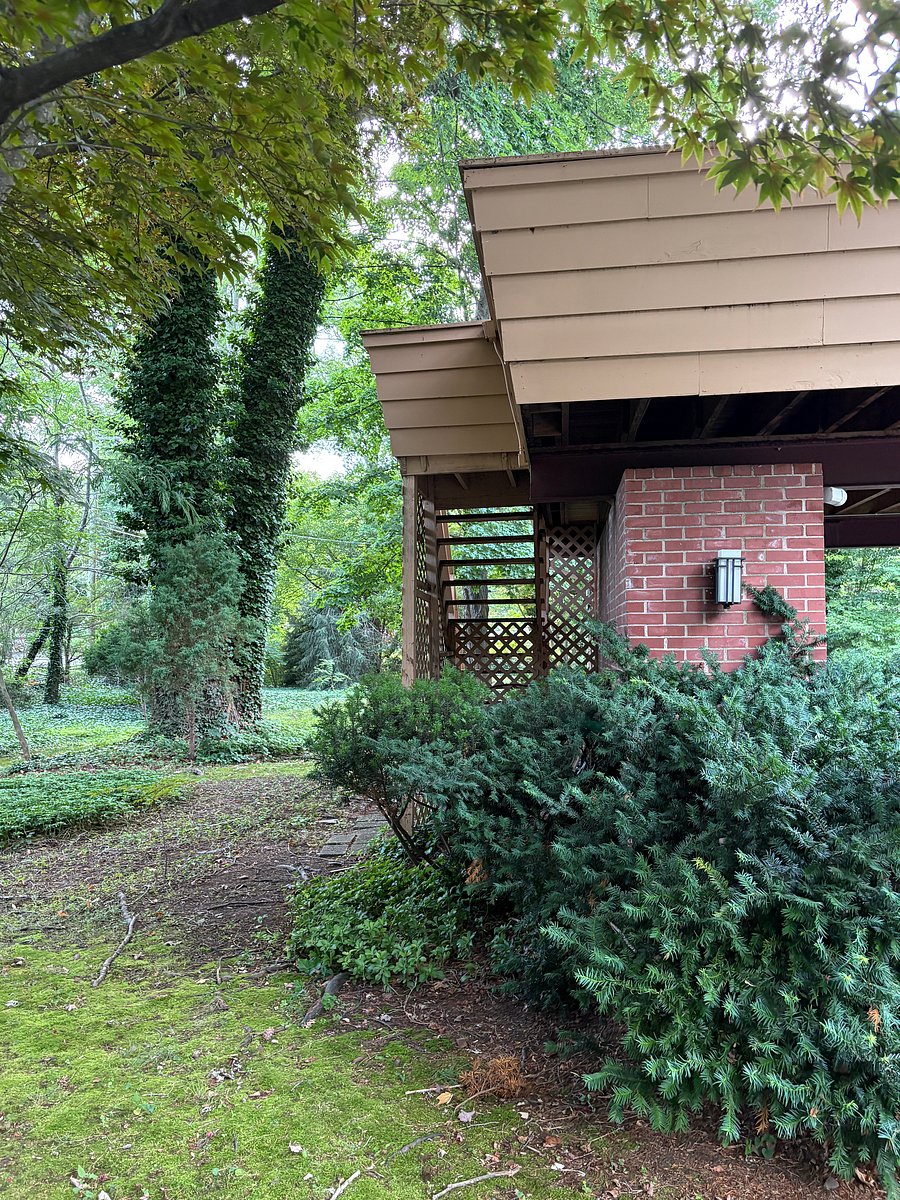 Furnished Finder property 1032171_1 photo 9