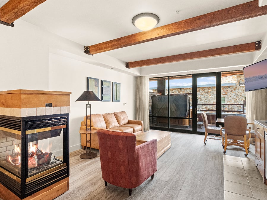 Living Area / Queen Sofa Sleeper
