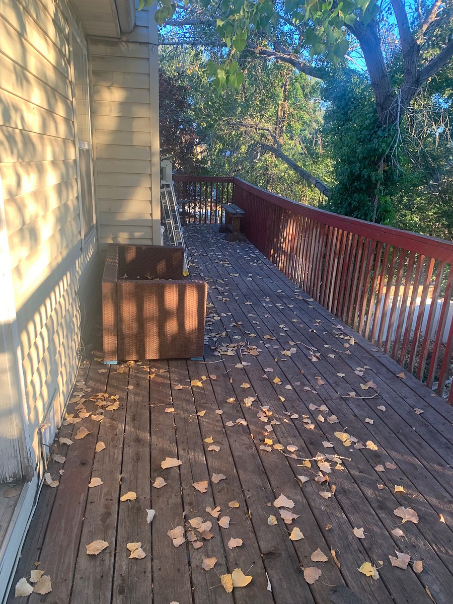 Furnished Finder property 1032191_1 photo 13