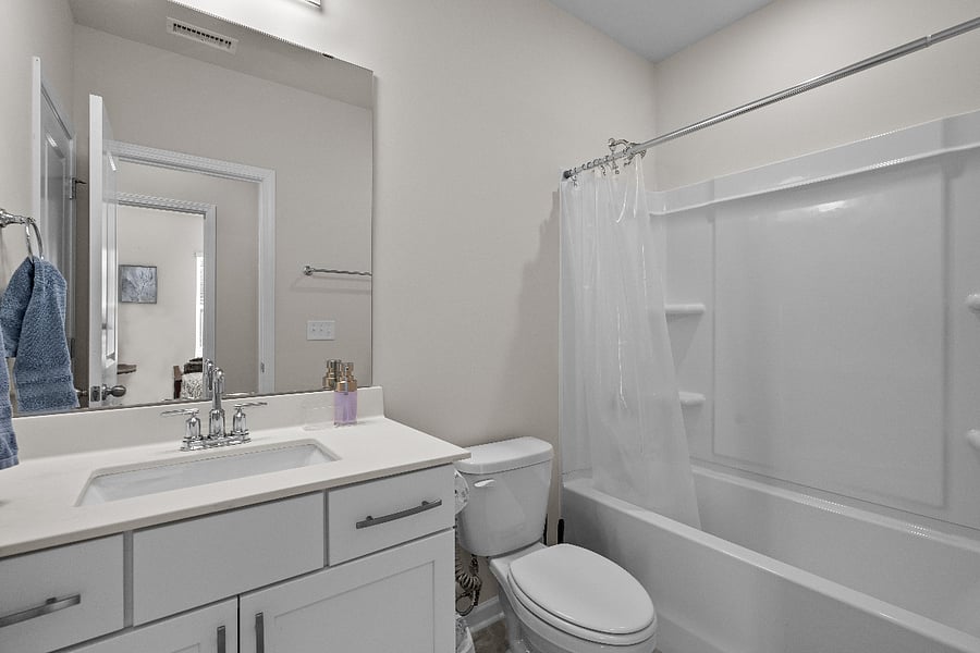 Basement Bathroom