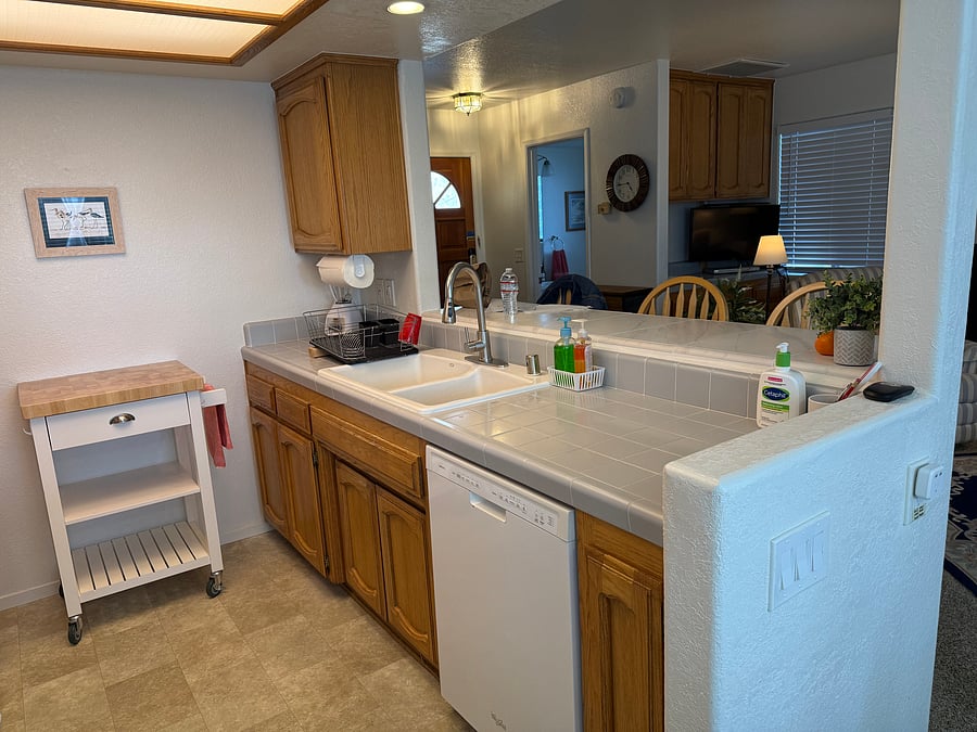 Dishwasher, sink with pull down Faucet