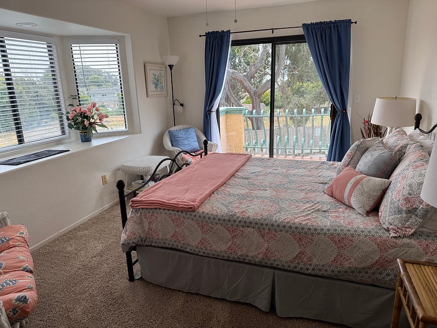 Primary Bedroom with lots of natural light, installed ceiling fan with 2 way light switch