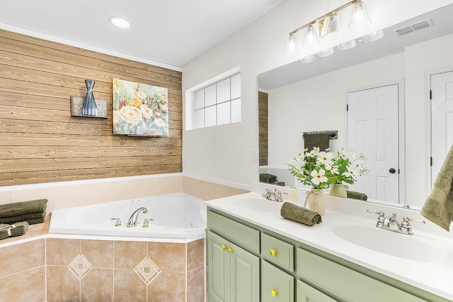 Master bathroom jacuzzi tub