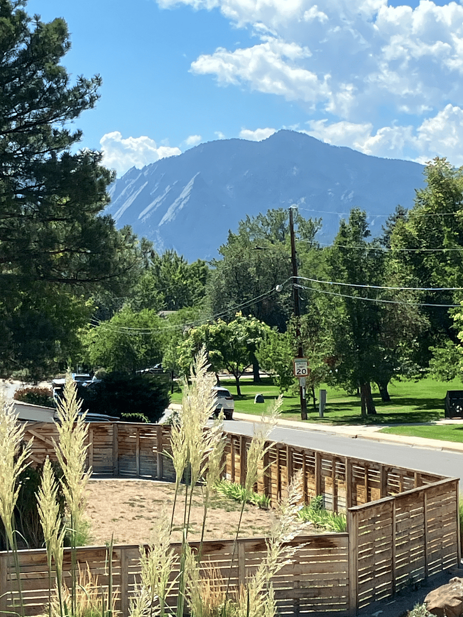 View plus the park across the street