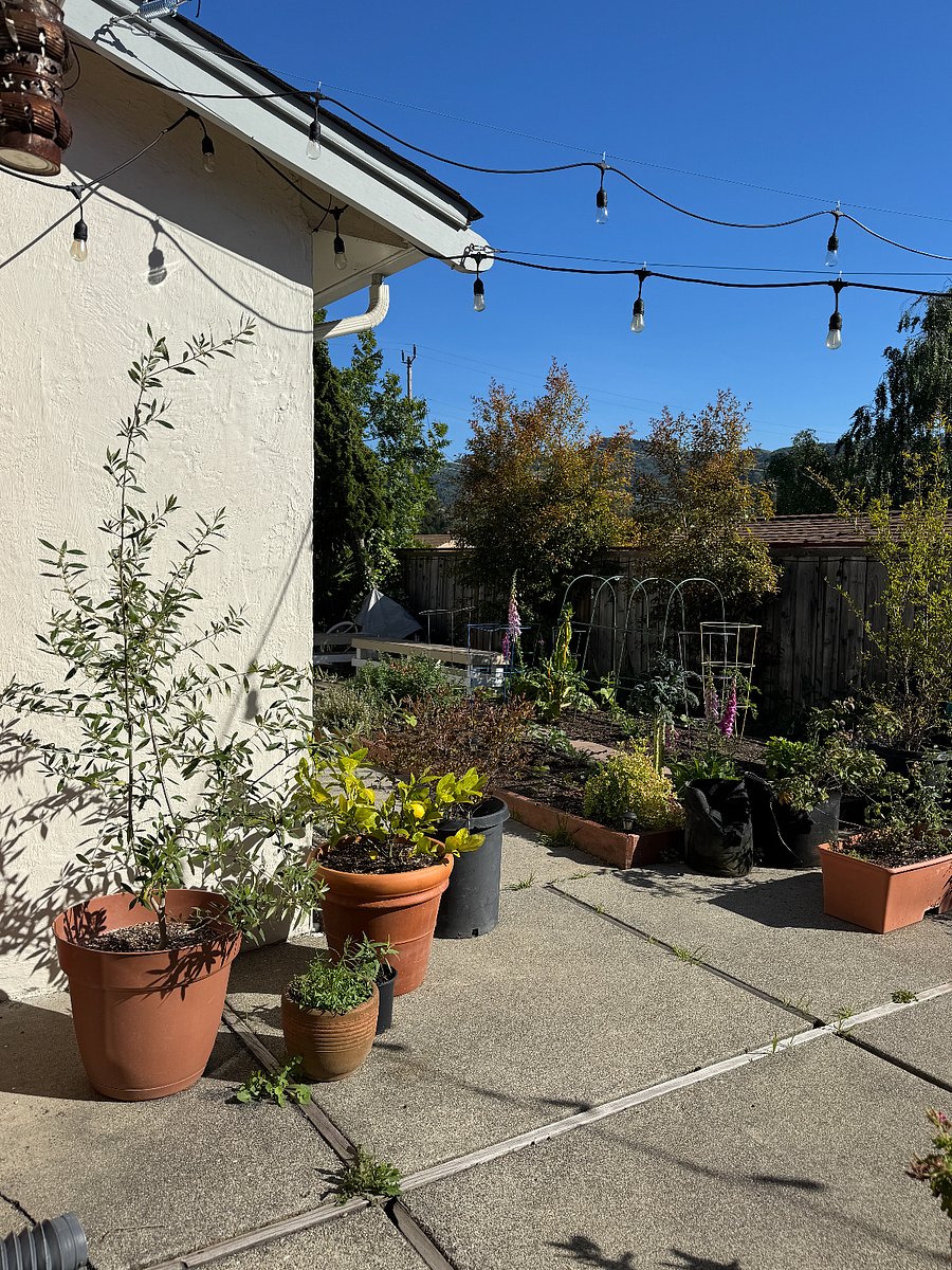 Furnished Finder property 1032430_1 photo 14