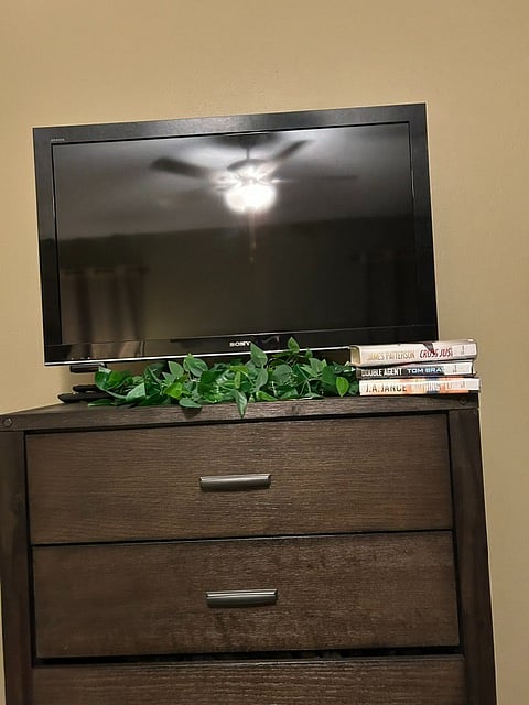 Furnished Finder property 1032455_1 photo 4