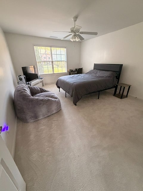 Furnished Finder property 1032517_1 photo 5