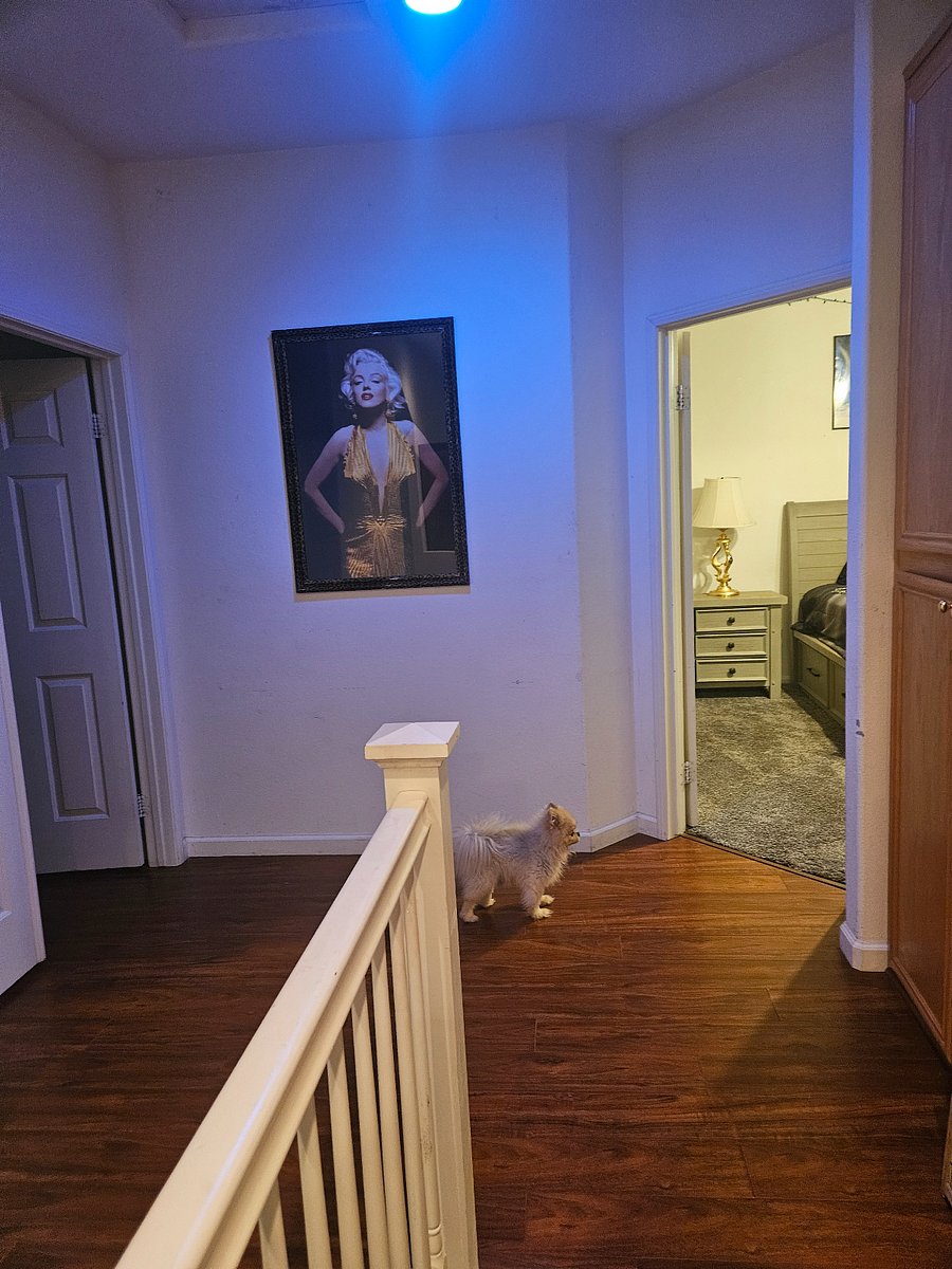 Furnished Finder property 1032657_1 photo 9