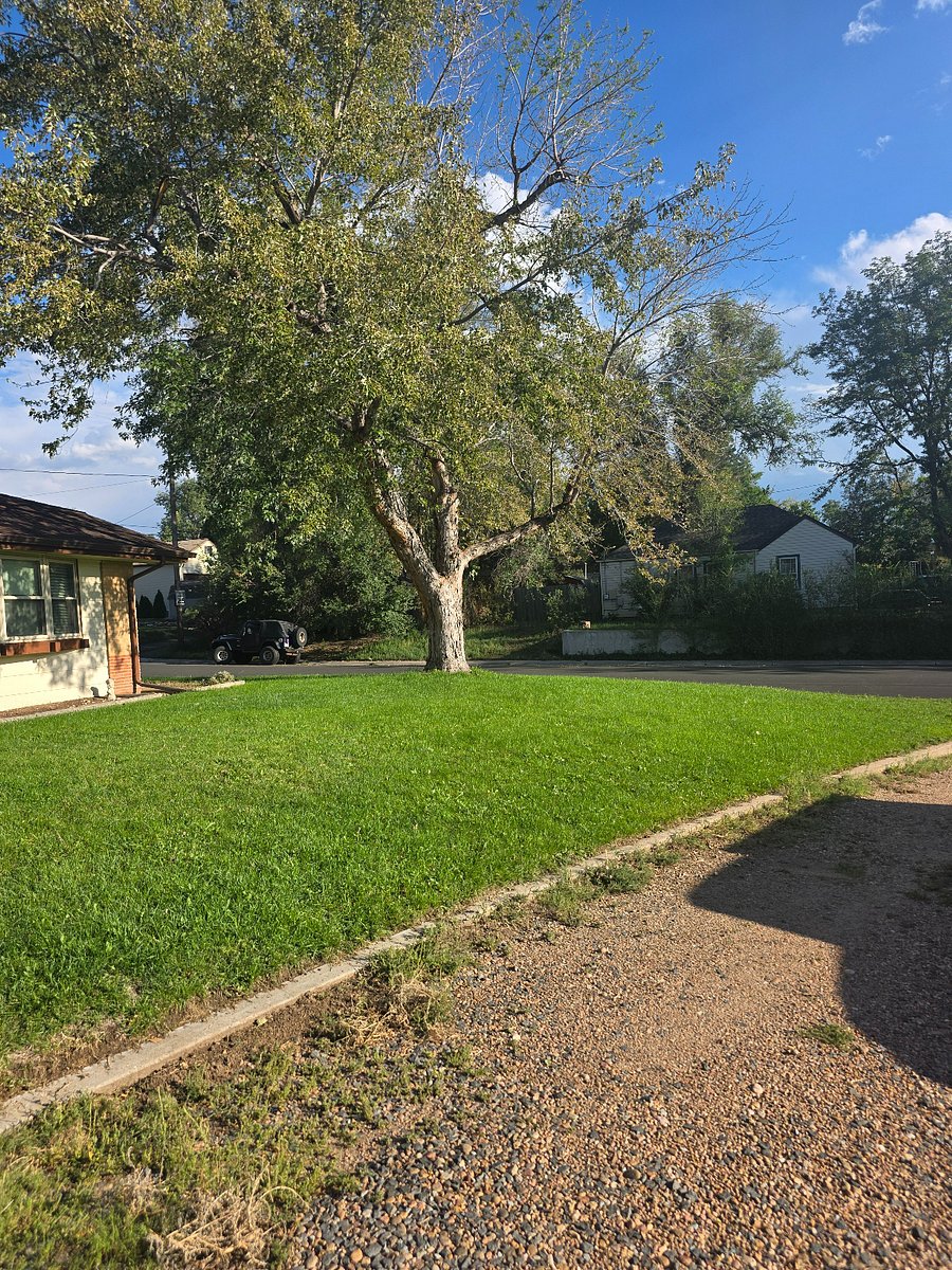 Furnished Finder property 1032769_1 photo 12