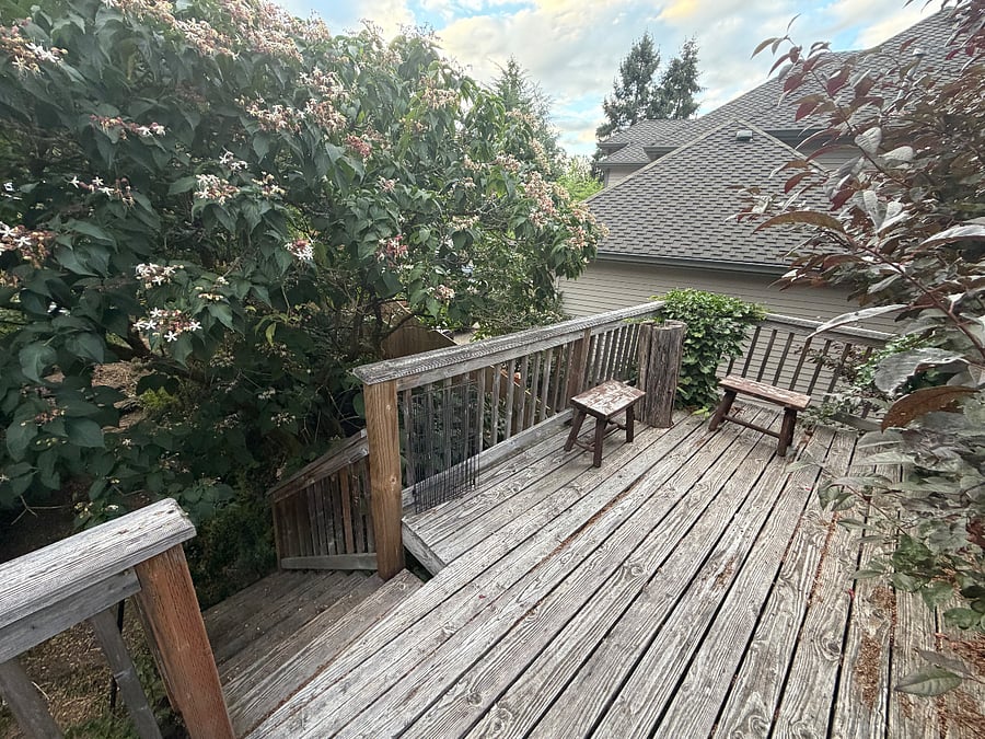 Furnished Finder property 1032801_1 photo 21