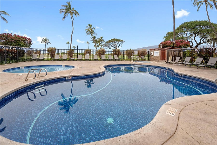 Sparkling waters surrounded by tropical palms and lounge chairs. The perfect spot to soak up the sun, swim laps, or float the afternoon away.