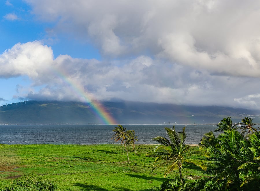 From vibrant rainbows over the water to swaying palm trees, this is the view that greets you at Maui Dream.