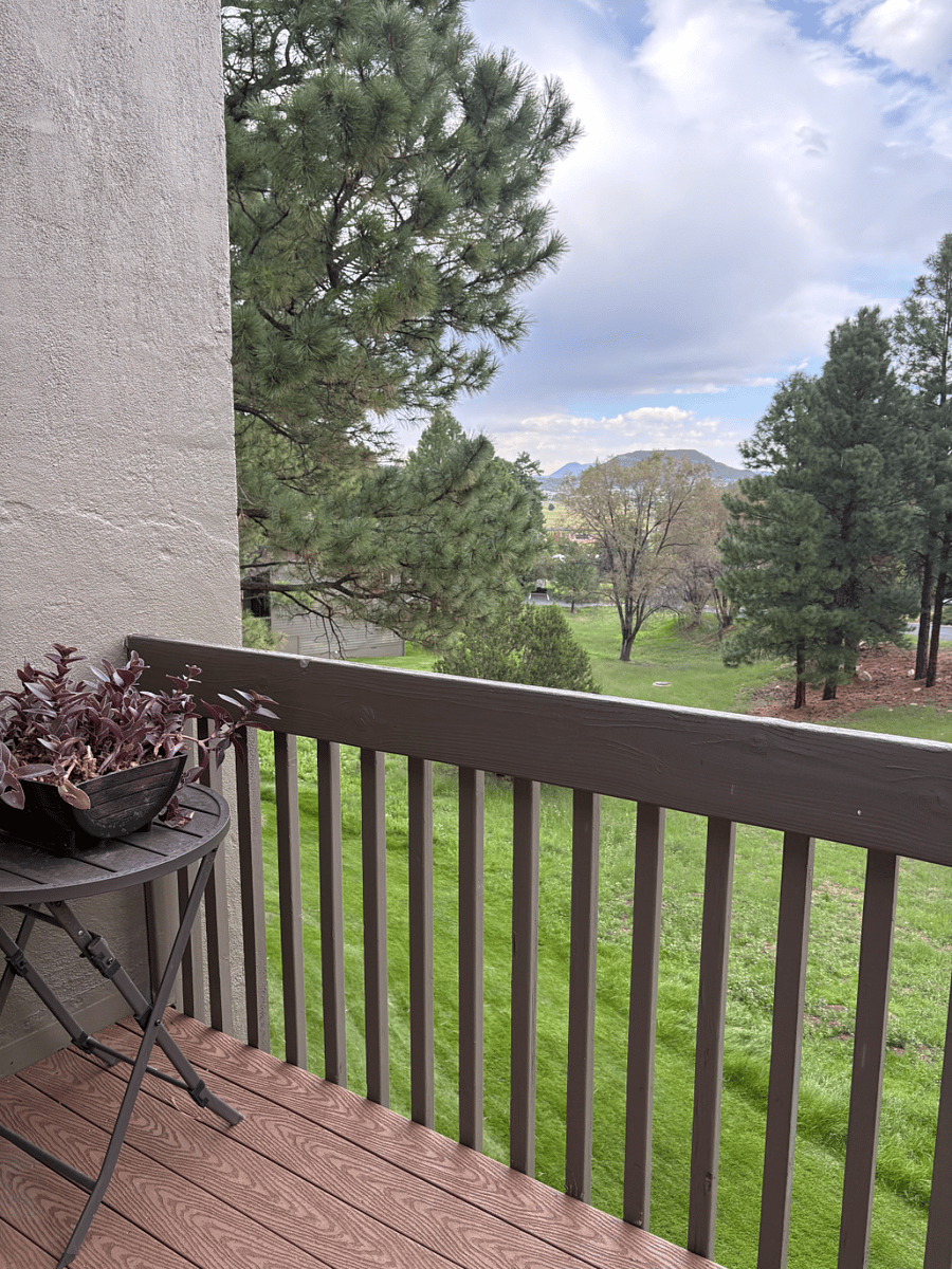 Furnished Finder property 1032848_1 photo 27