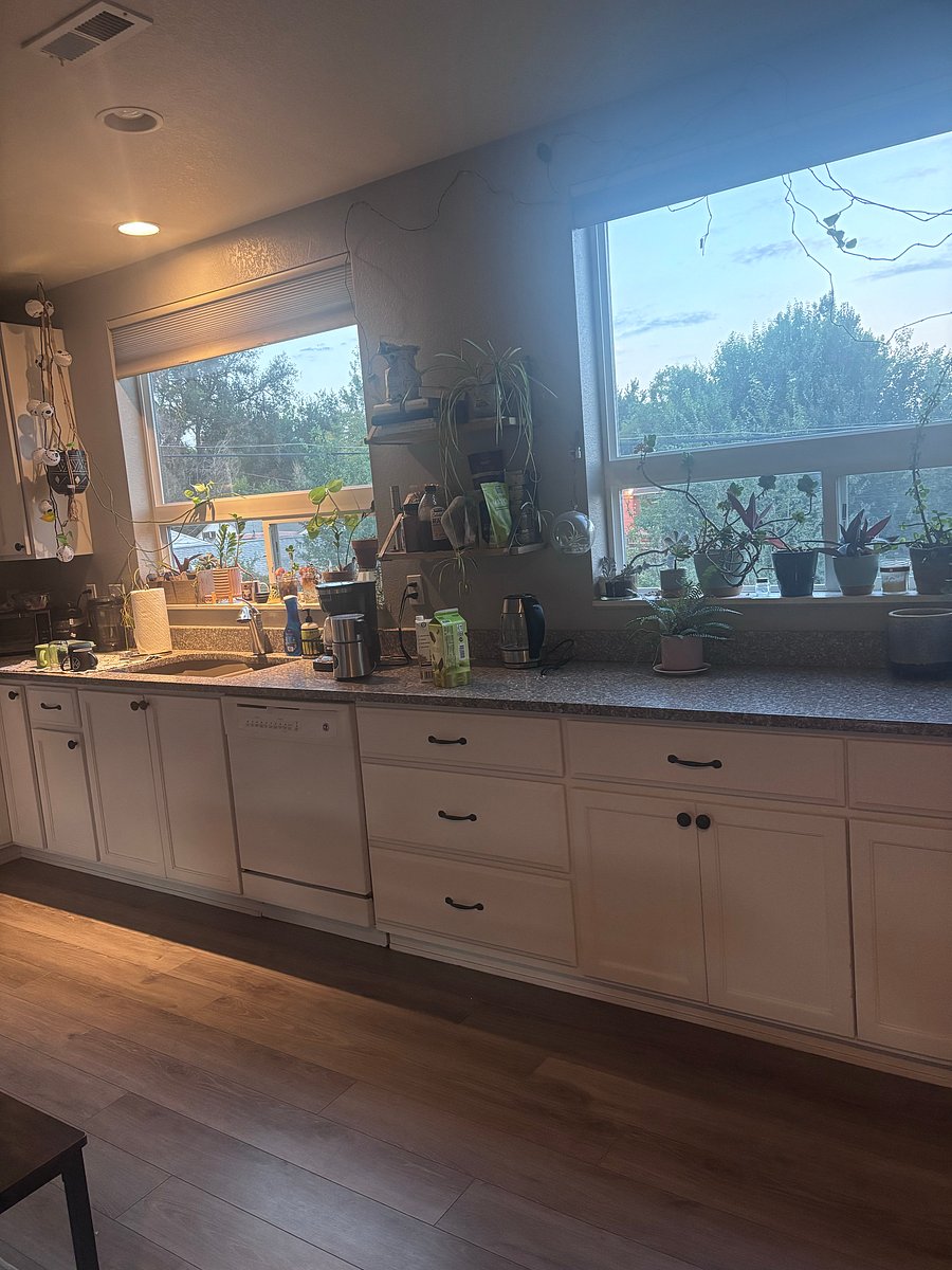 Furnished Finder property 1032853_1 photo 11