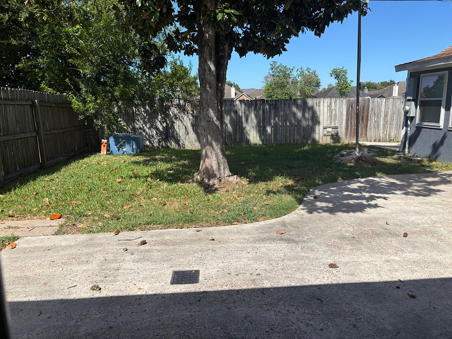 Furnished Finder property 1032886_1 photo 19