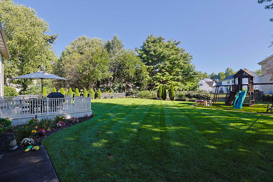 fully fenced yard
