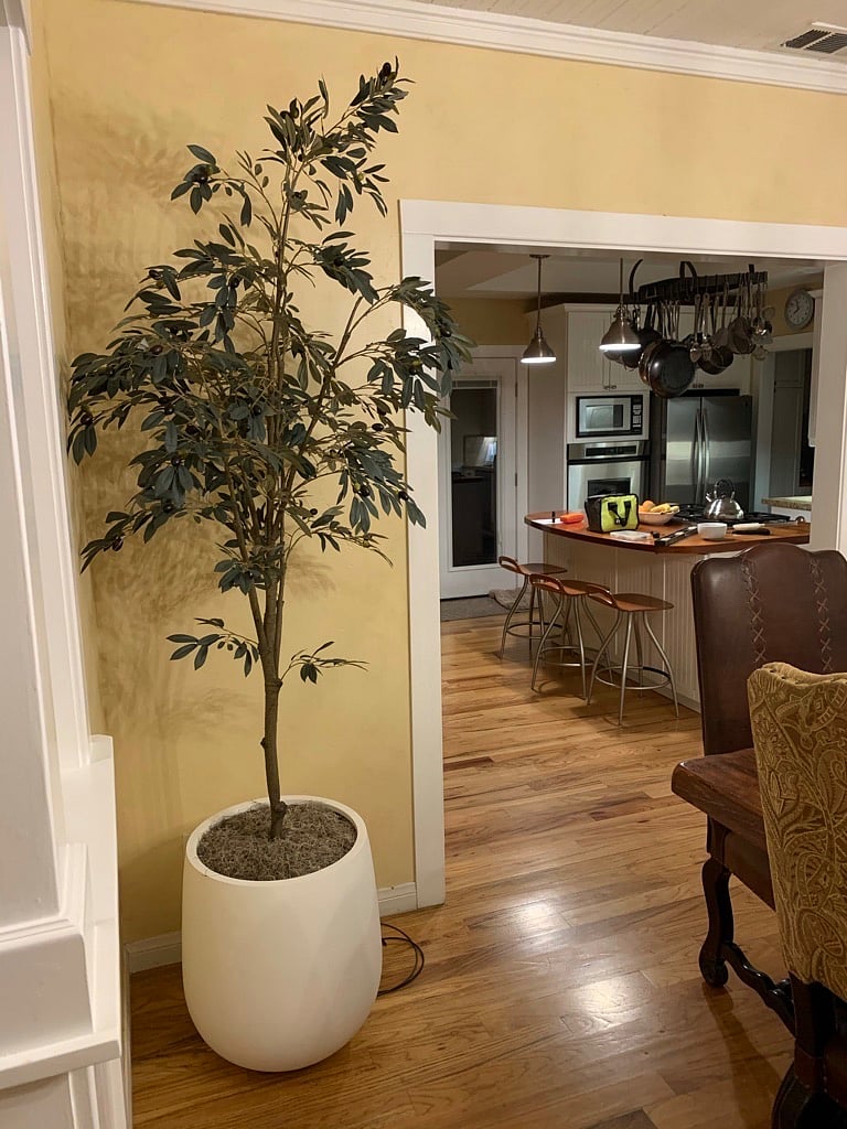 Furnished Finder property 1032928_1 photo 12